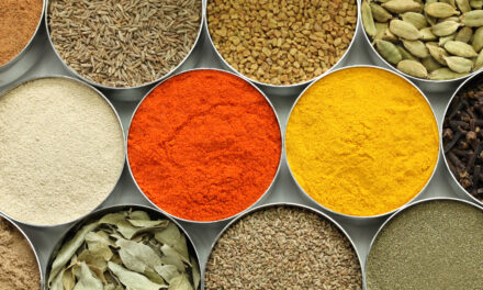 L’ayurveda à travers les siècles